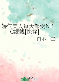 ÿ춼NPC[촩]