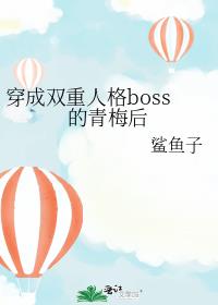 ˫˸boss÷