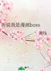 ˵boss