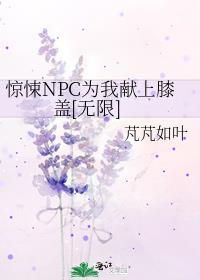 NPCΪϥ[]